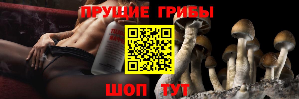 Заводоуковск  Галлюциногенные грибы прущие грибы  Вход с VPN 