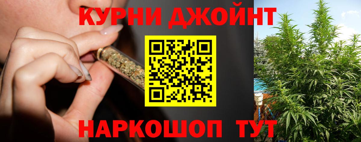 Шишки марихуана семена Заводоуковск
