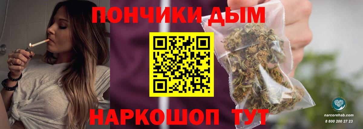 Бошки Шишки марихуана  Шишки марихуана тримм  Вход с VPN  Канабис Bruce Banner  Заводоуковск 